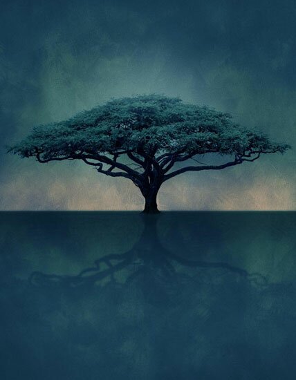 Tree at the Young Vic